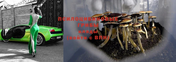 трава Михайловск
